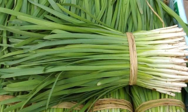 韭菜|宽叶韭菜和细叶韭菜差别大,很多人不知道,以后可别买错了