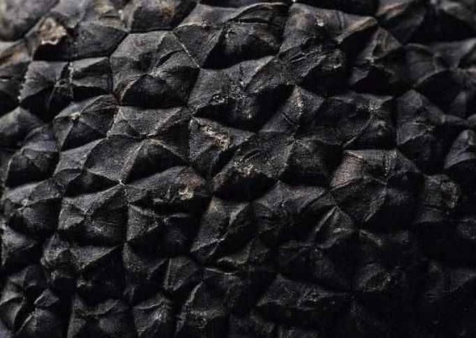 东西|中国人不要的东西,在美国1斤就能卖几千美元,网友不敢扔了