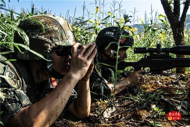 捕歼|密林深处，武警特战队员山林地捕歼战斗打响