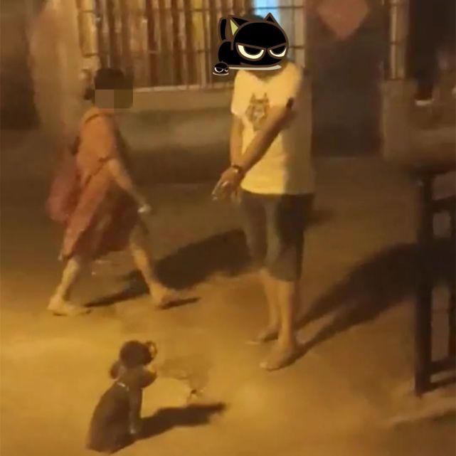 文明|处置不文明养犬行为，警方不打烊！