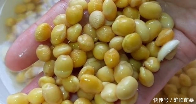 不换|我家黄豆从不打豆浆，加1碗面粉，简单几步，出锅给肉不换，真香