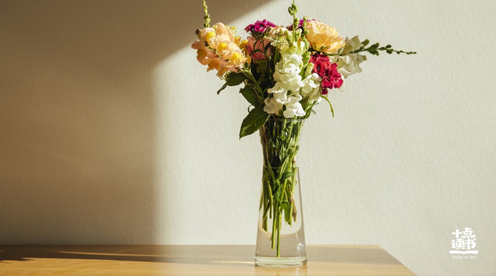  频率相同的人|灵魂相似的人，总会相逢