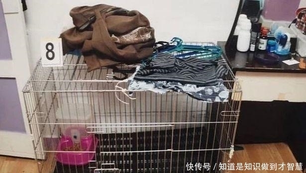 倒到|5岁男孩被父母锁在笼子里，多次用滚烫的热水，倒到他身上将其烫死