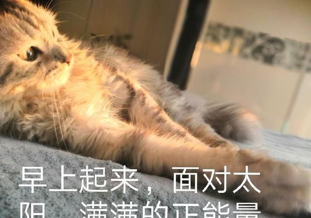  光明记忆|1小时内就能通关的“超短流程游戏合辑”，来试试你要多久？