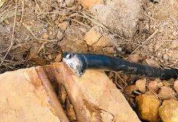 电信|西港电信偷盗严重,政府悬赏1000万瑞尔征集线索