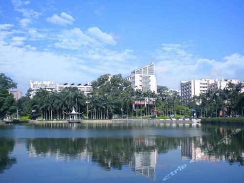 大学丶广州|华南地区最好的20所大学,可分为5档,适合不同分数考生报考