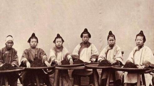 偷窃|152年前对中国的一次偷窃,让无茶印度成茶出口第一国,成就立顿