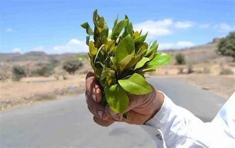 喝茶|别人请你去“喝茶”，你可不要随便答应……