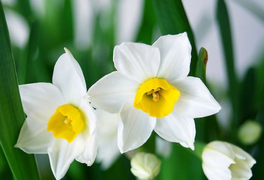 生肖|最“怕”老婆的三生肖男,不但主动上交工资卡,还对妻子百依百顺