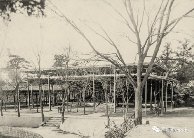  院子|111年前的北京动物园旧影
