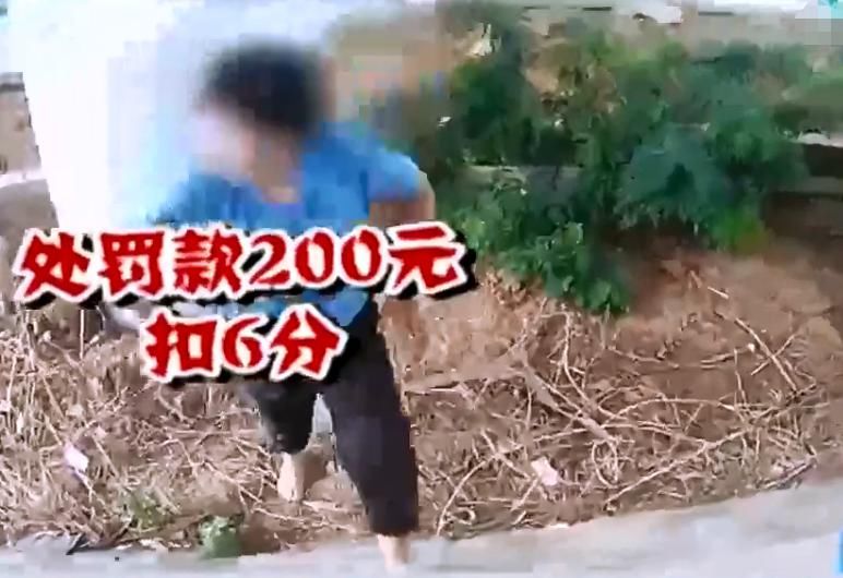  高速|女司机高速乱停车，躺在沟里酣睡，被交警叫醒还有“起床气”