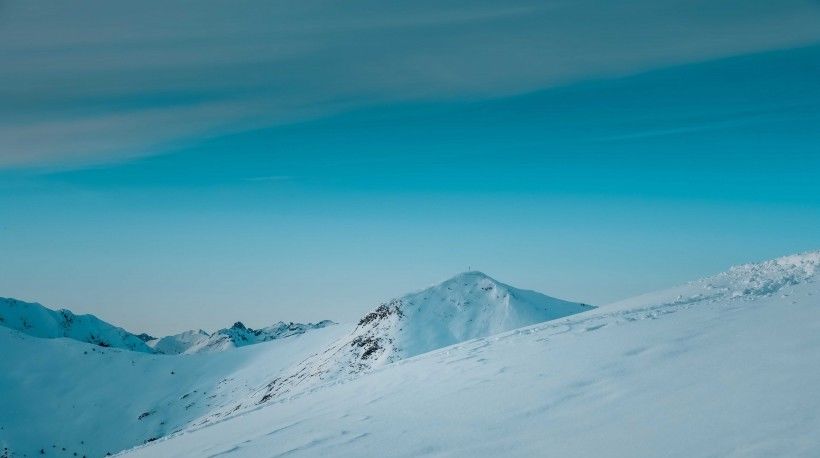  生肖|八月初期，会走“狗屎运”的4大生肖，爱情事业齐登门，喜事连连