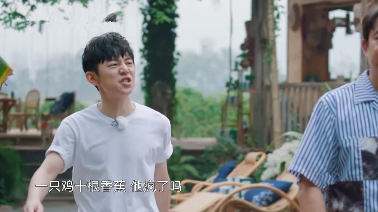  何老师|一只鸡要十捆香蕉！黄磊拿板砖“威胁”导演，周迅调侃彭彭太自恋