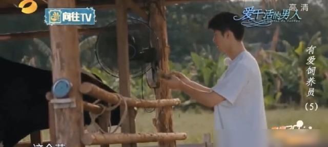 许光汉|许光汉能干又能吃，这个男人有点可爱？