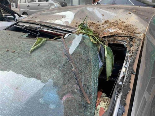  名车主|斯柯达遇到高空抛物，车顶变形后挡风碎裂，物业：我们管不着！