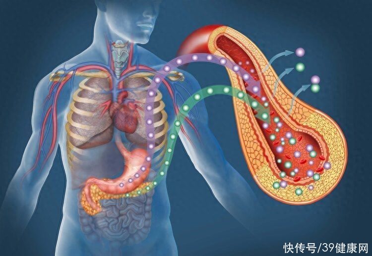 柳叶刀慢性炎症与癌症(柳叶刀：炎症是癌症的祸根，患上5种炎症不要拖，及时干预还有救)