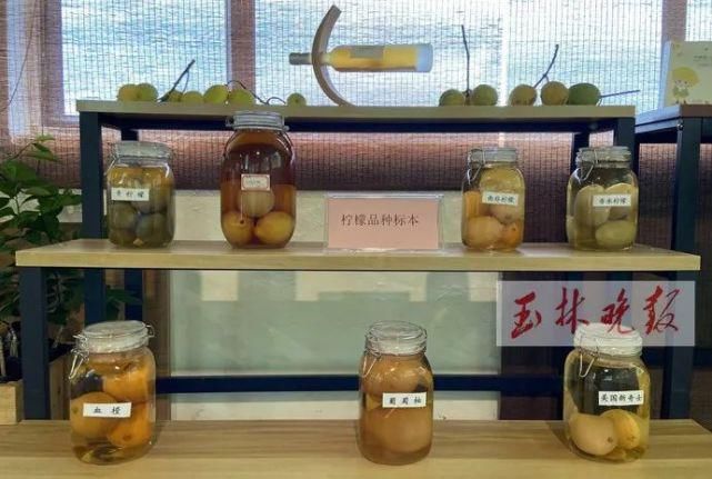 仁东镇鹏垌|令人骄傲！玉林这些地方的变化真大