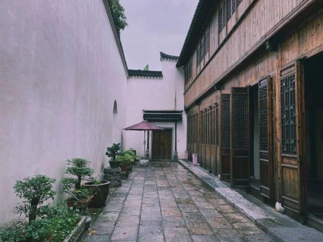  辰山植物园|好看！这才是松江夏天的正确打开方式