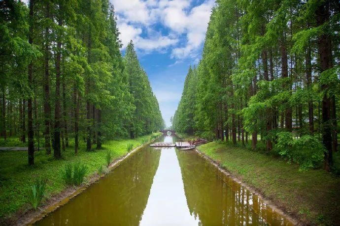  接地|“颜值高”“有内涵”“接地气”……打卡盐城，你想到了什么？