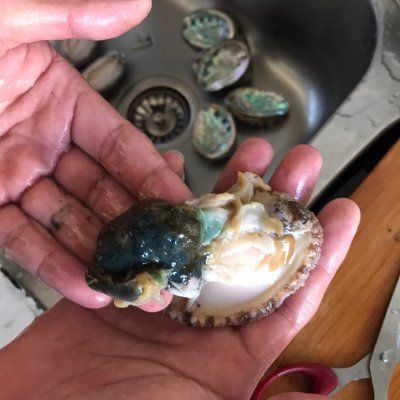 骨骼|冬天关注骨骼健康你需要这道红烧鲍鱼