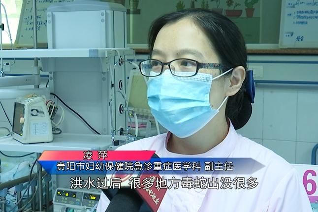  上山|命悬一线！贵州4岁男童上山采蘑菇，不幸被蛇咬伤