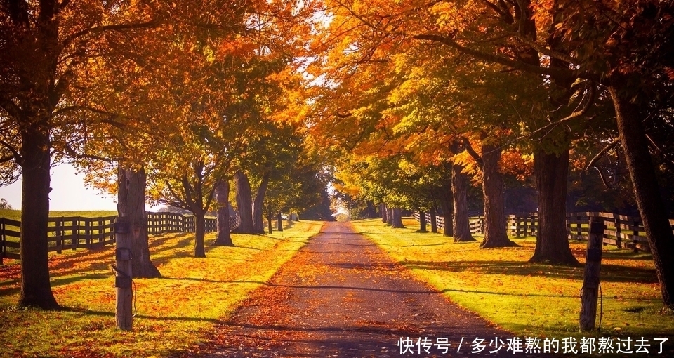 感情|当男人对你动了真感情时,他会对你嘘寒问暖,也会照顾你的感受