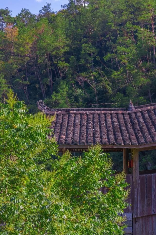  东溪乡|层层梯田、万亩茶园，这才是醉美乡村应有的样子！