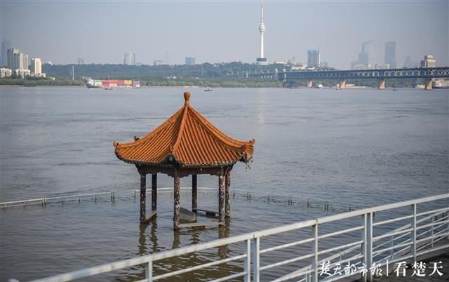 洪水|洪水“标尺” 武昌黄花矶凉亭在江水中露真颜