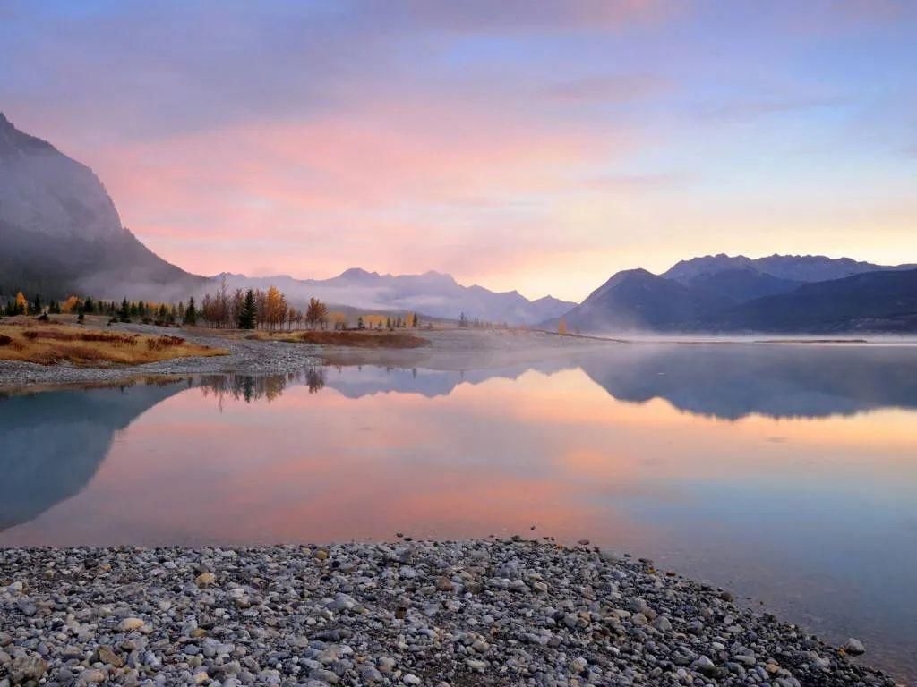 离婚率|离婚率为什么这么高？“家和万事兴”你知道有多重要