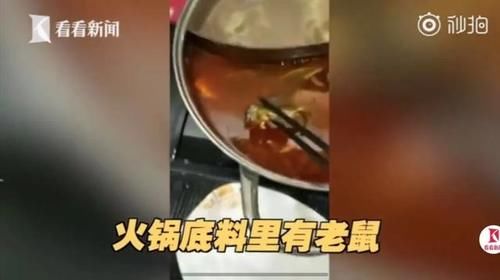  火锅|小龙坎制售2吨地沟油：地沟油卷土重来？不，它从未离开