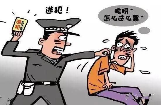  小光头|法网恢恢疏而不漏，盗窃男子潜逃4年终被擒