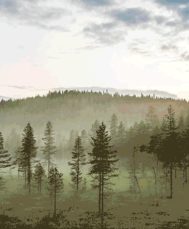  不止|瑞典的美，不止一种颜色！