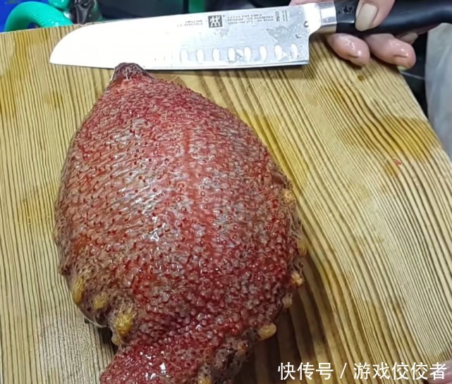刺身|厨师料理两斤重的大海参,真怕一刀切下去,整个海参直接爆开了