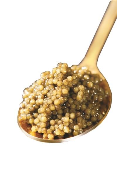 创造|这群科研人创造出世界销量第一的鱼子酱品牌