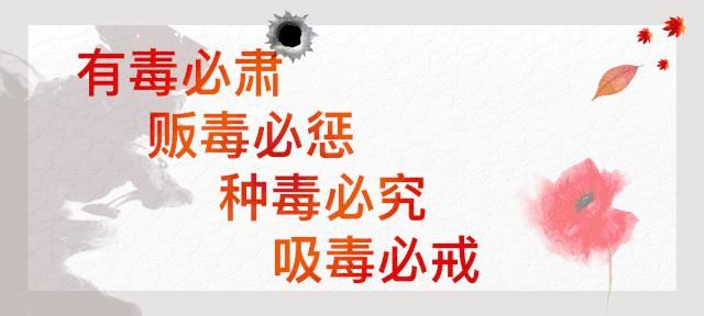 行政审批|旗市场监管局为总投资10亿元的重点招商引资企业“开绿灯”