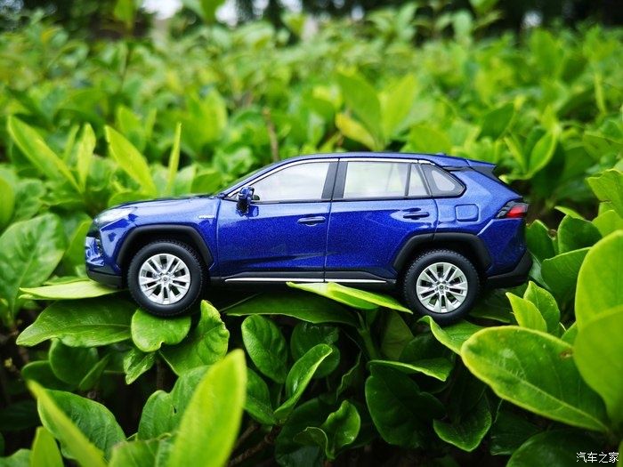 拍摄|拥有威兰达车模,绽放花丛中,说说感受