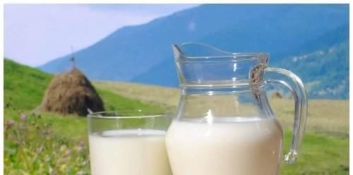  骆驼|骆驼的奶粉和牛的奶粉哪个好？