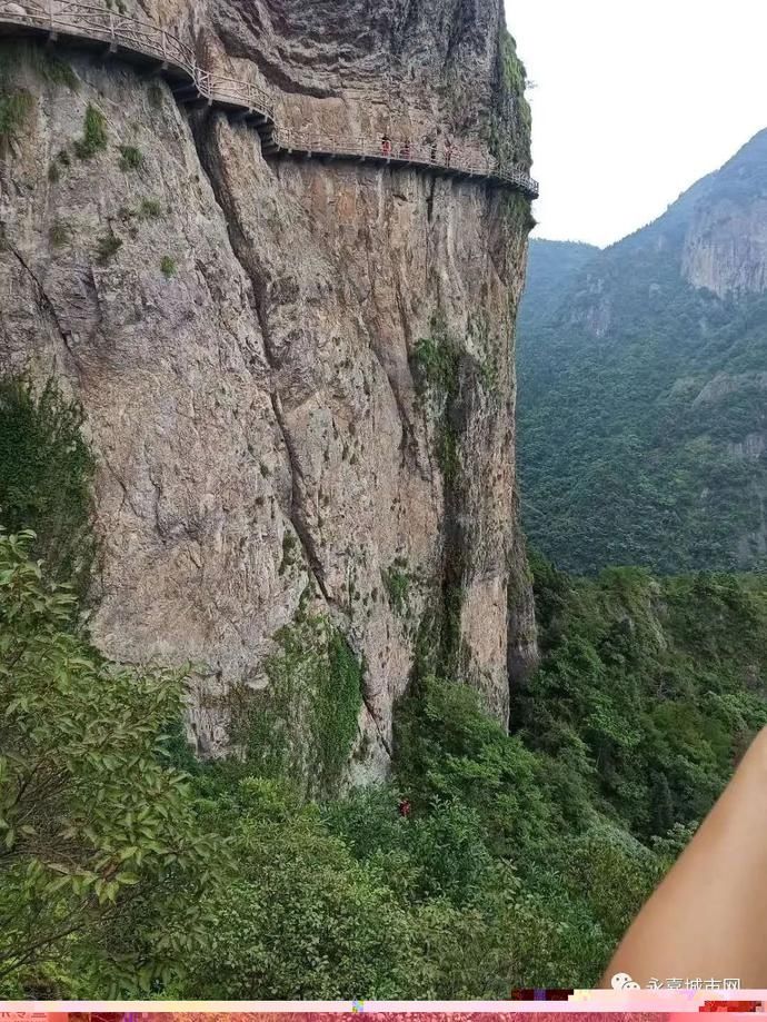  未归|女游客进温州景区未归，悬崖下找到尸体