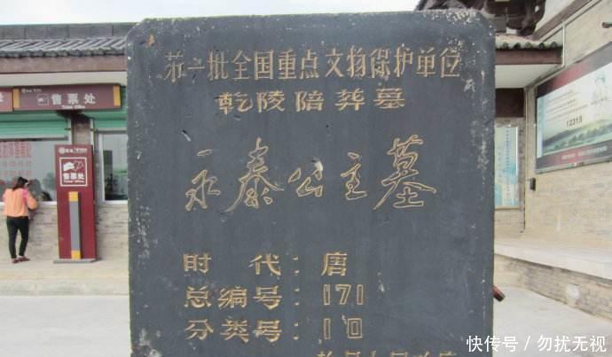  公主|唐中宗第七个女儿，永泰公主之墓，被盗取过也比其他公主的豪华