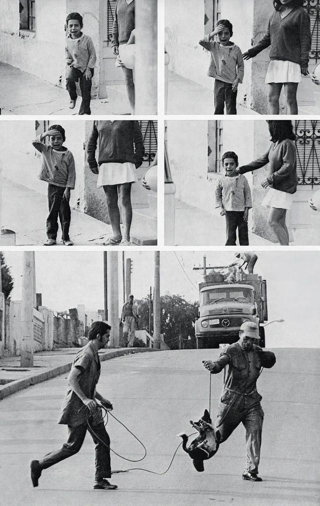  赛级|赛级摄影作品讲述的也不过是不同的生活罢了