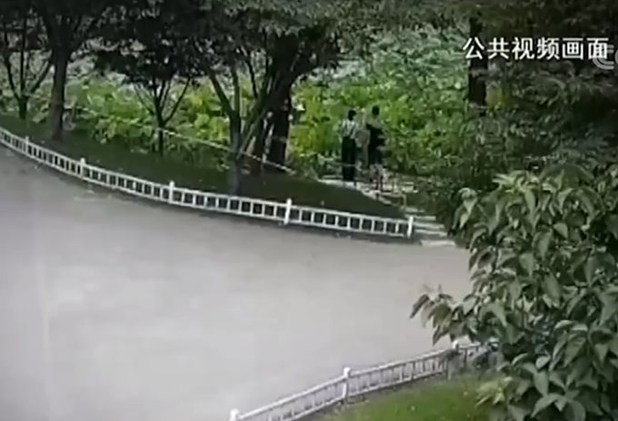 监控|游客摘玄武湖并蒂莲监控曝光，当事人振振有词：不就是朵快败掉的花吗？