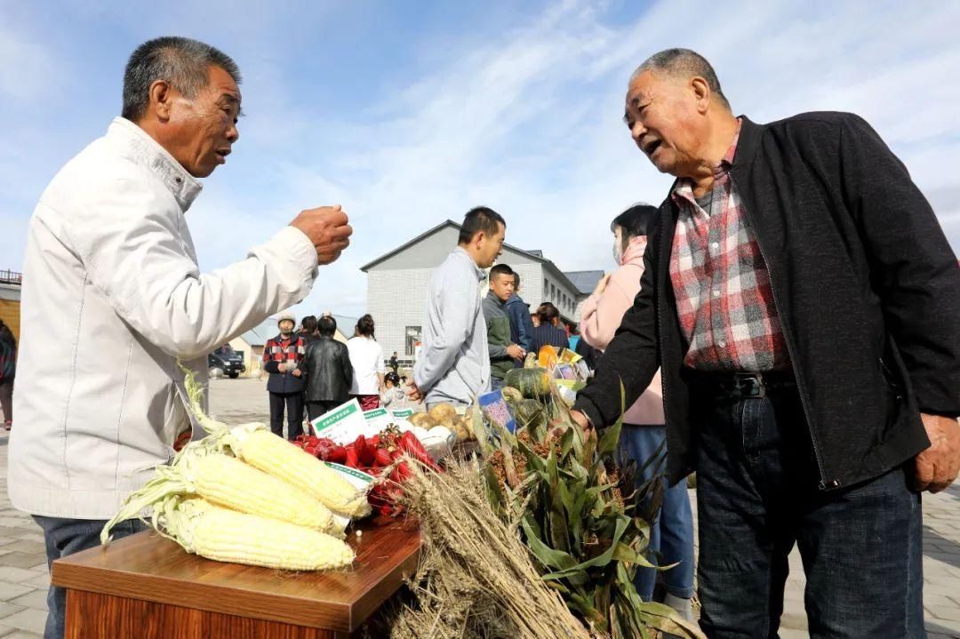 大兴安岭|兴安大地泛“金浪”，丰收的号角已吹响！