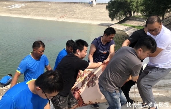  命丧|7旬钓鱼人为捞鱼漂，命丧尖岗水库