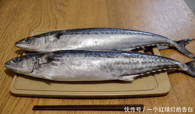 鲅鱼水饺|它是北方最鲜美的饺子馅!薄皮大馅儿,打赌你肯定没吃过