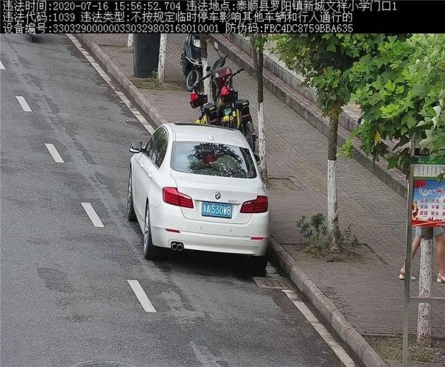 驾驶机动车违反道路|泰顺这些车主被曝光！