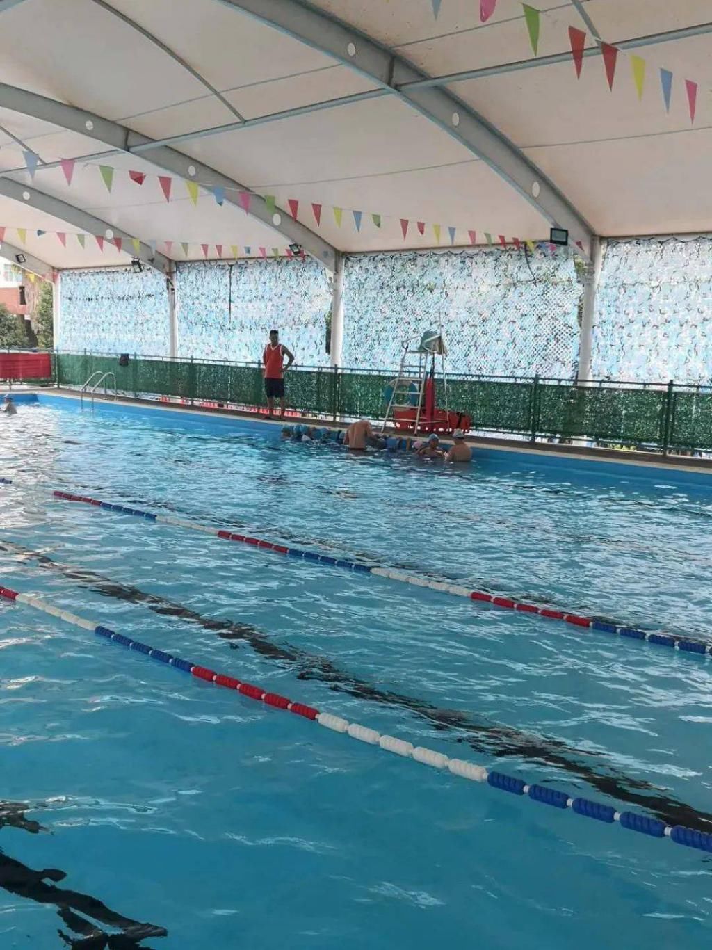  游泳池|不游泳，不夏天！苍南县各游泳池（馆）大盘点！