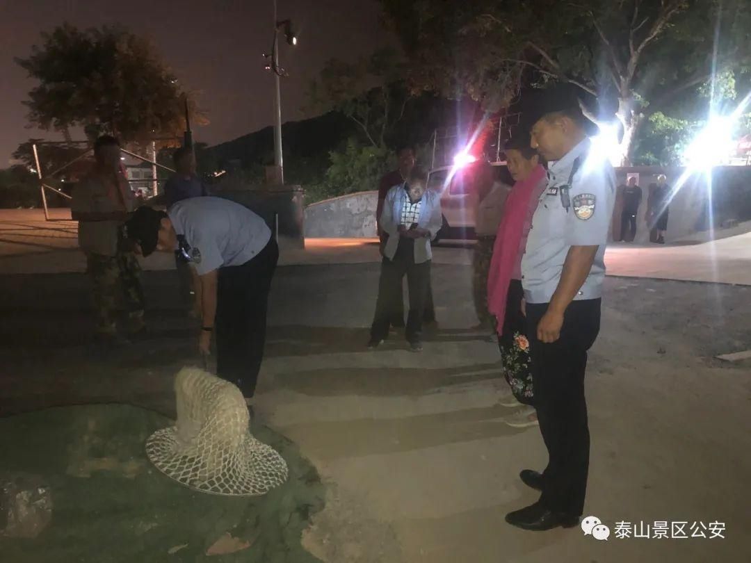 养犬行为|景区：整治“不文明养犬”景区分局一直在行动