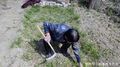 爬高|晋南农村79岁老两口,爬高上低开荒种菜,吃不完送乡亲