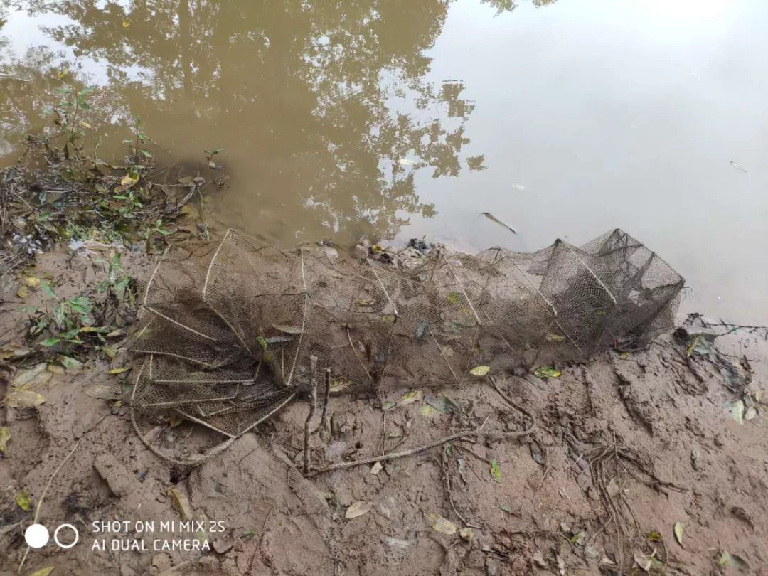 非法|你非法捕鱼我依法抓你 四川广安三个月共立刑案27件