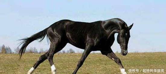 关羽|古代最厉害的5匹战马连关羽坐骑也只排第二第一很少有人知道